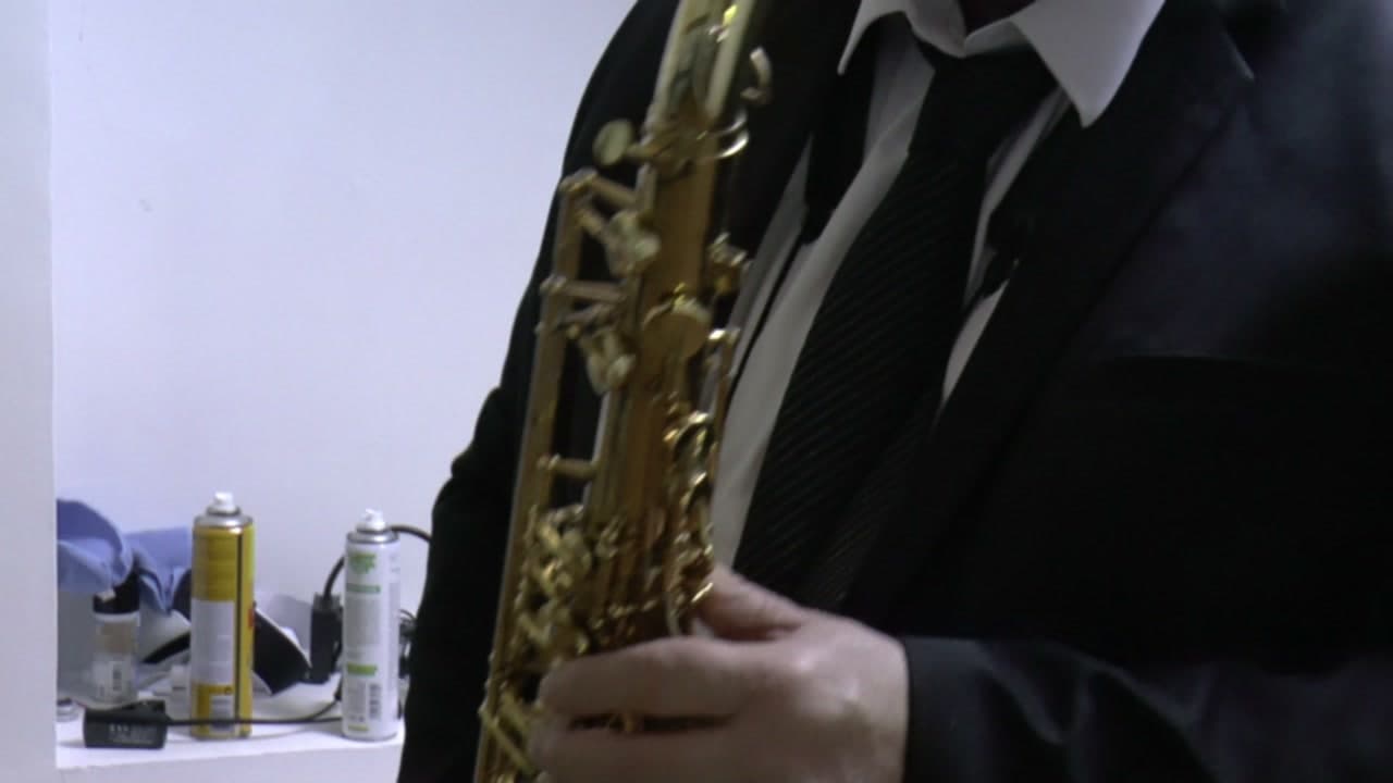 The Pink Dogs en pleine prestation — Présence scénique